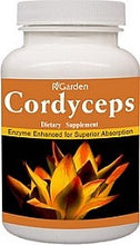 Load image into Gallery viewer, Cordyceps
